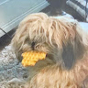 Meet your Posher, William